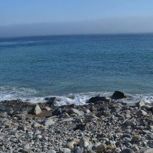 Meet your Posher, Rina.